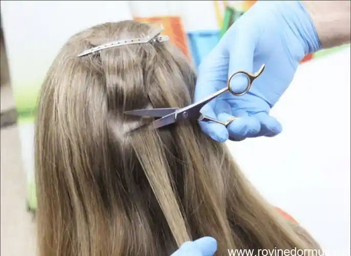 how to beat a hair follicle test for truck drivers