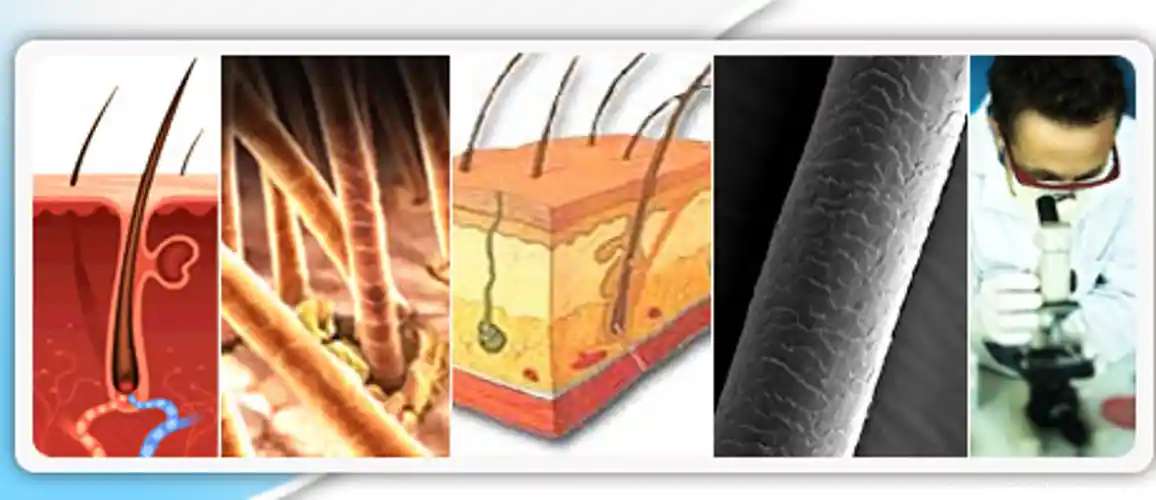 how to beat a hair follicle test for truck drivers